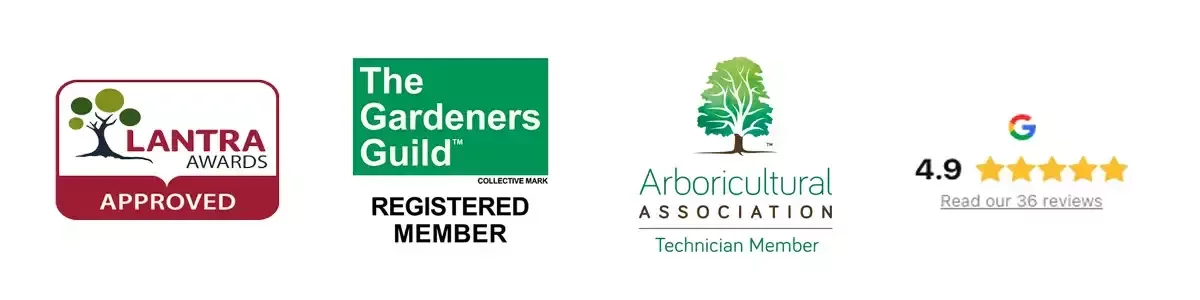 Qualifications and membership logos