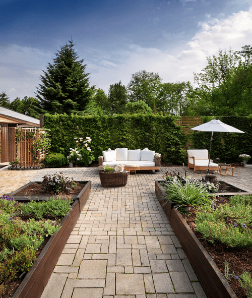 Raised beds and garden path