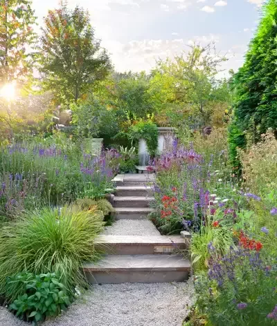 Garden with flowers, plants and steps designed and build by Roots Landscapes and Trees